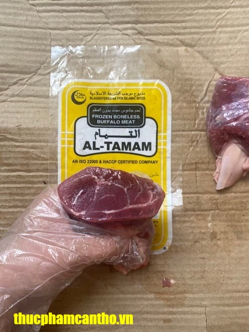 bắp hoa trâu ấn độ 60s al tamam -12