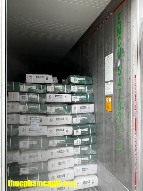 bắp hoa trâu ấn độ 60s al tamam -7