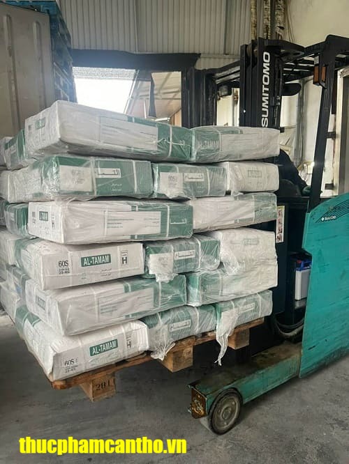 bắp hoa trâu ấn độ 60s al tamam -9