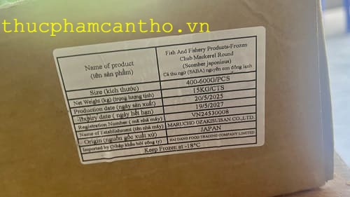 cá saba nhật bản (2)