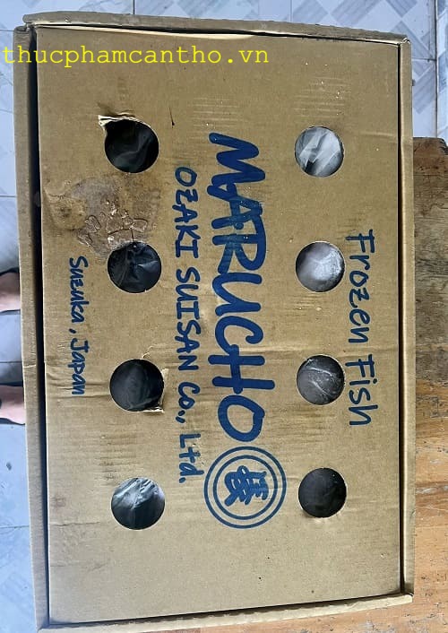 cá saba nhật bản (3)