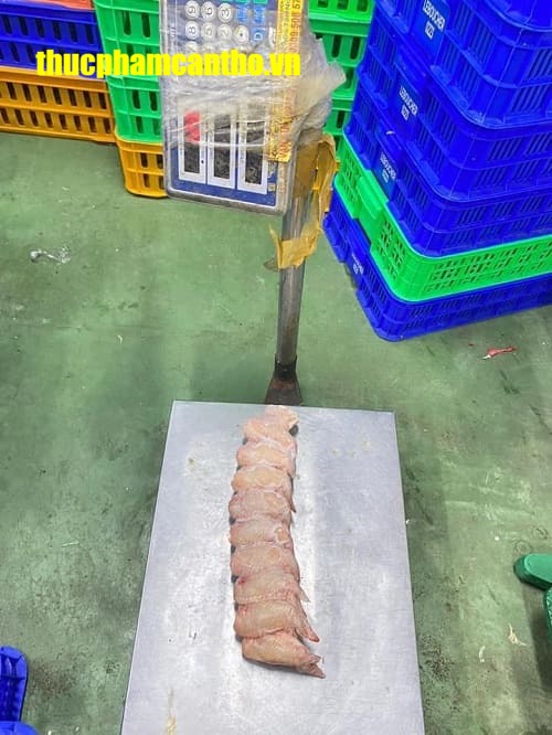 cánh gà xếp perdigao brazil -2