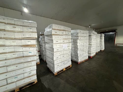 da heo elfering nhập khẩu đức -6