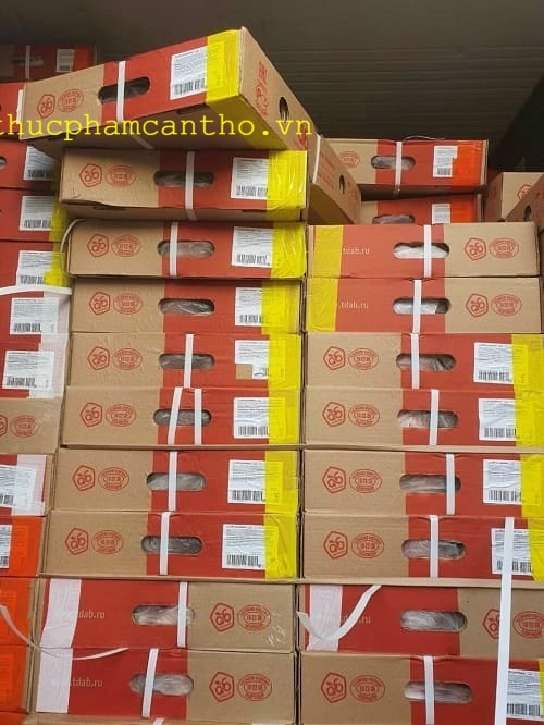 dựng sau heo q6 (1)