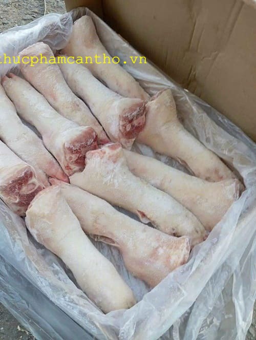 dựng sau heo q6 (11)