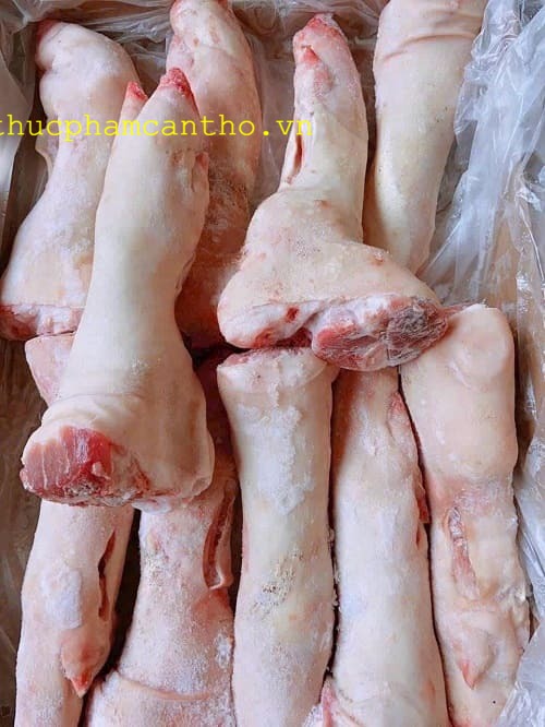 dựng sau heo q6 (12)