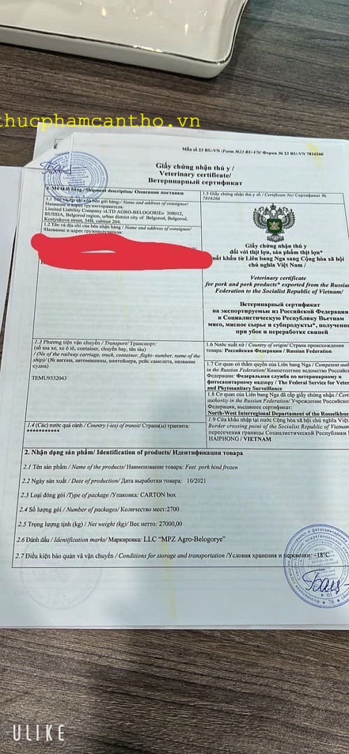 dựng sau heo q6 (13)