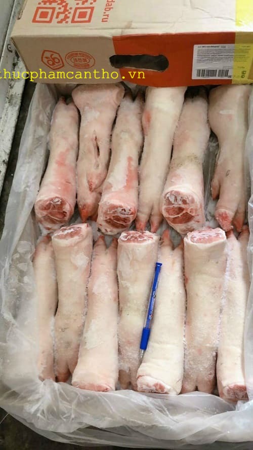 dựng sau heo q6 (14)