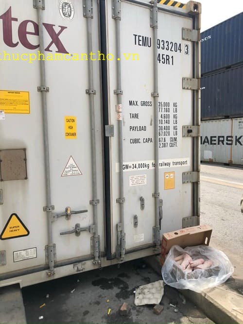 dựng sau heo q6 (3)