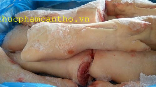 dựng sau heo q6 (4)