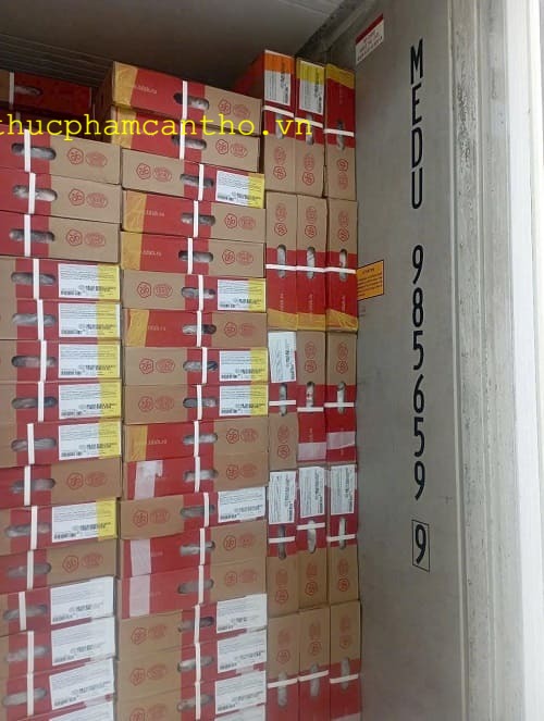 dựng sau heo q6 (5)