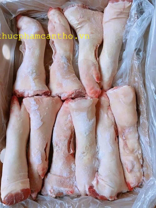 dựng sau heo q6 (6)