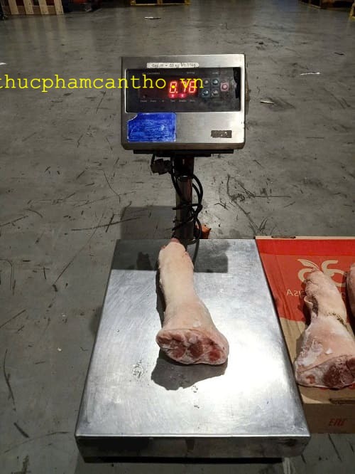 dựng sau heo q6 (7)