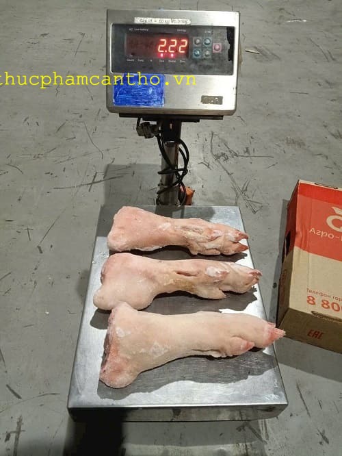 dựng sau heo q6 (8)