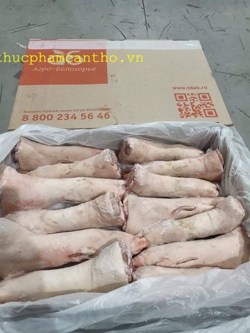 dựng sau heo q6 (9)