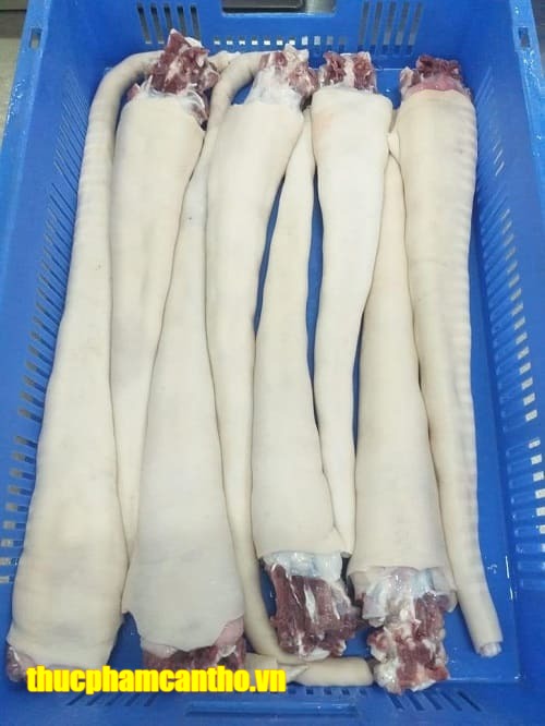 đuôi trâu ấn độ m57 tamam -5