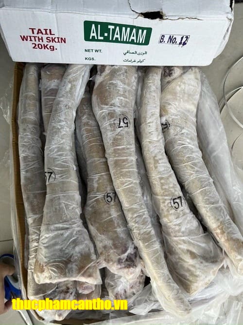 đuôi trâu ấn độ m57 tamam -7