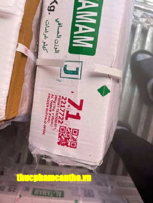 gân trâu ấn độ mã 71 tamam -1