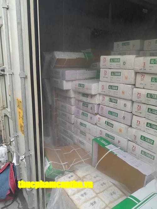 gân trâu ấn độ mã 71 tamam -4