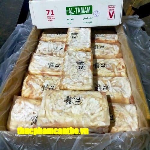 gân trâu ấn độ mã 71 tamam -6