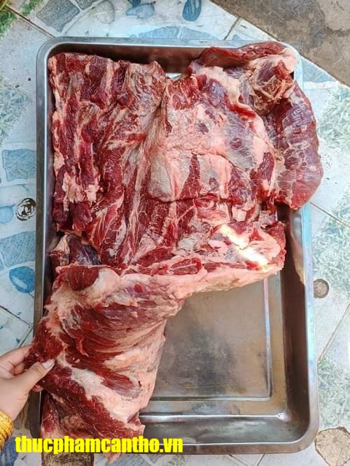 nạm gầu trâu ấn độ mã 61 bani gold -5