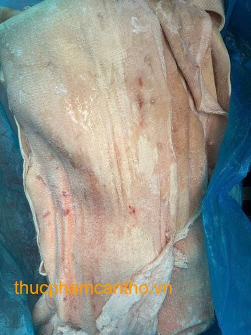 DA BỤNG HEO COSTA BRAVA (2)