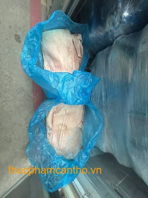 DA BỤNG HEO COSTA BRAVA (3)