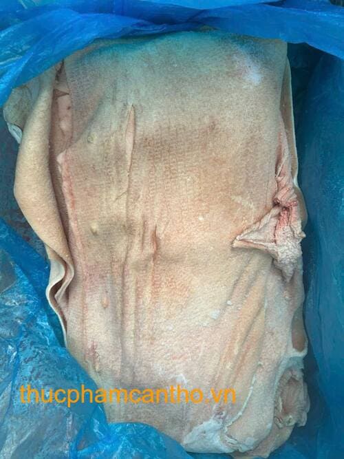 DA BỤNG HEO COSTA BRAVA (4)