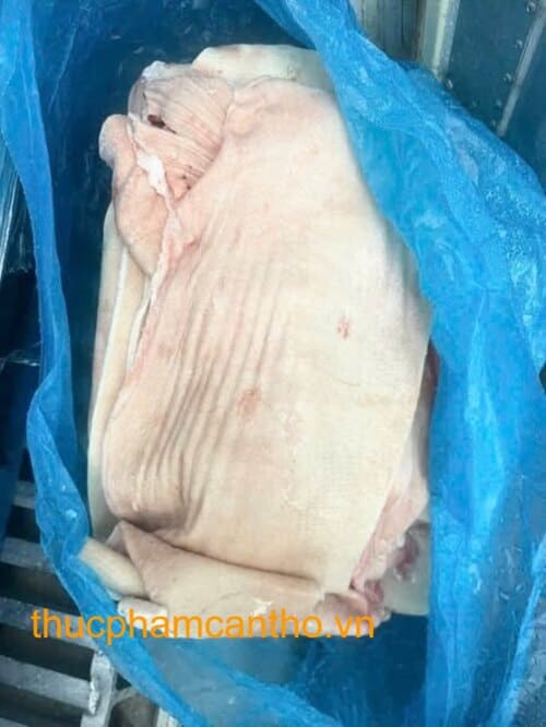 DA BỤNG HEO COSTA BRAVA (6)