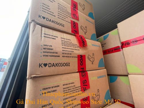 Gà Dai Hàn Quốc Shinwoo Size M, 10 con thùng 12,5kg – Keo đỏ (1)