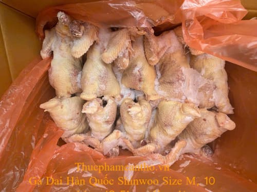 Gà Dai Hàn Quốc Shinwoo Size M, 10 con thùng 12,5kg – Keo đỏ (3)