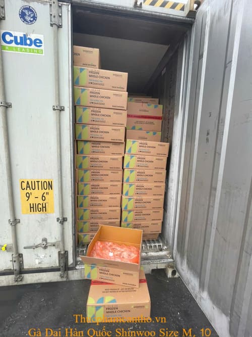 Gà Dai Hàn Quốc Shinwoo Size M, 10 con thùng 12,5kg – Keo đỏ (5)