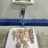 ẾCH LÀM SẠCH SIZE 8–12 CON/KG ĐÔNG LẠNH VIỆT NAM, THÙNG 10KG