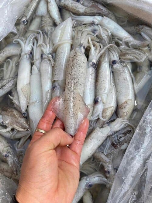 MỰC MỸ TRỨNG -04