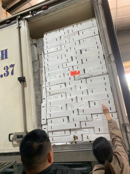 MỰC MỸ TRỨNG -1