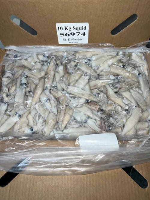 MỰC MỸ TRỨNG -10