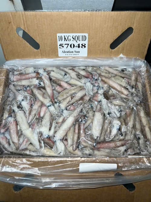 MỰC MỸ TRỨNG -11