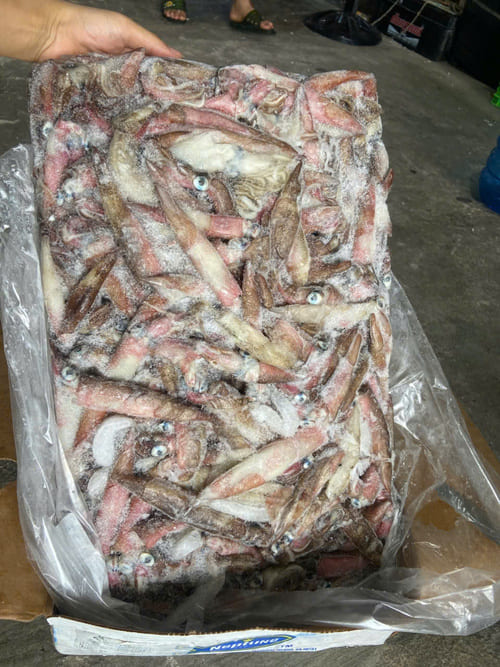 MỰC MỸ TRỨNG -12