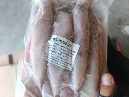 MỰC MỸ TRỨNG -13