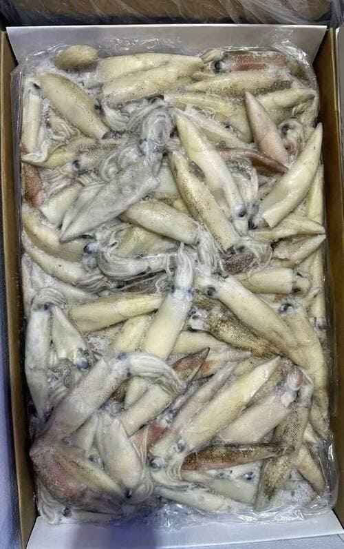 MỰC MỸ TRỨNG -3