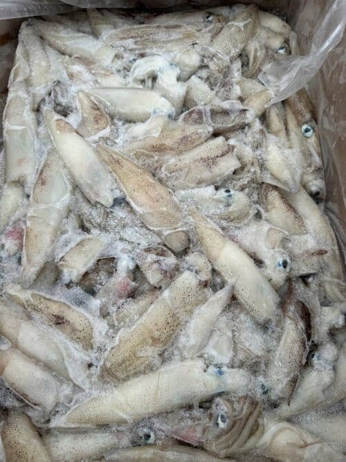 MỰC MỸ TRỨNG -5