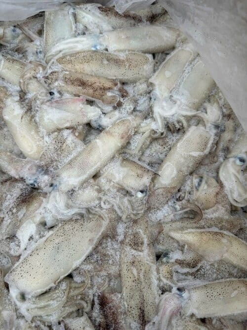 MỰC MỸ TRỨNG -6