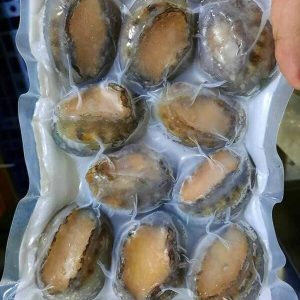 Bào Ngư Size 10 Nhập Khẩu Trung Quốc Thùng 12kg Đông Lạnh