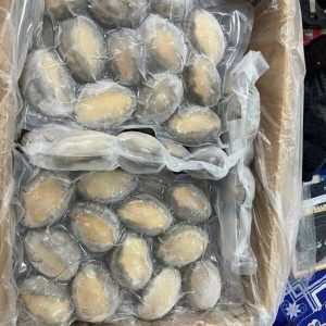 Bào Ngư Size 16 Nhập Khẩu Trung Quốc Thùng 12kg Đông Lạnh