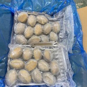 Bào Ngư Size 20 Nhập Khẩu Trung Quốc Thùng 12kg Đông Lạnh