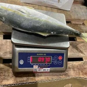 Cá Cam Nhật Nhập Khẩu Size 500–1000g Thùng 15kg
