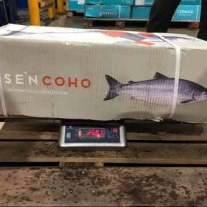 Cá Hồi Aysen Coho Nhập Khẩu Chile Size 5 Con Thùng 26kg - Công Ty Nhập Khẩu