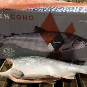 Cá Hồi Aysen Coho Nhập Khẩu Chile Size 6 Con Thùng 25kg