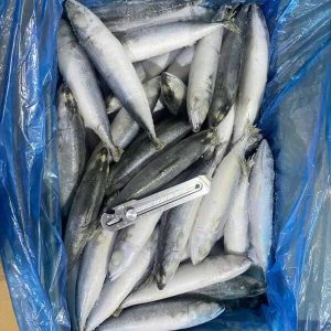 Cá Saba Nhập Khẩu Trung Quốc Đông Lạnh IQF Size 50–60, 60–70, 60–80 Thùng 10kg