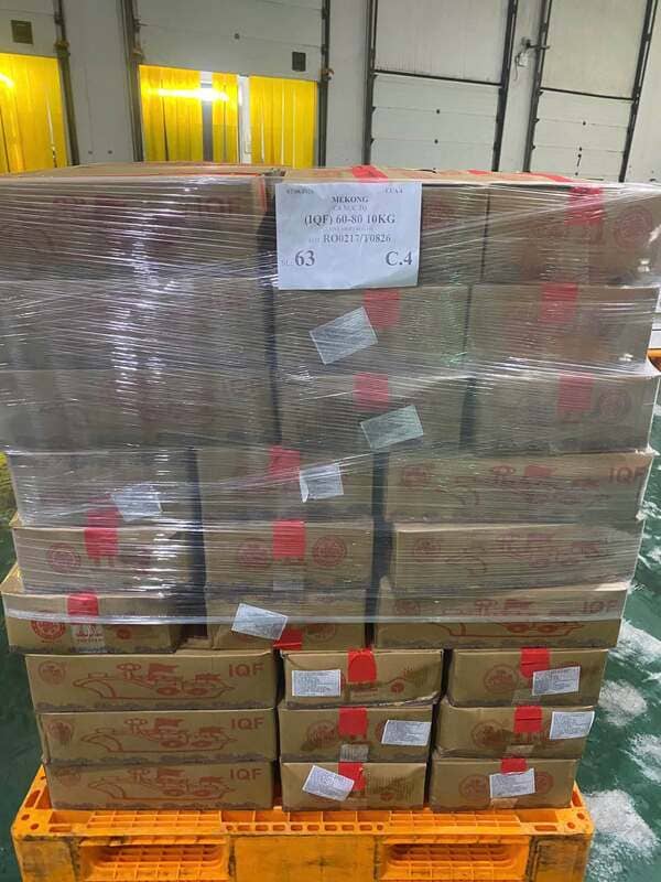 Cá Saba Nhập Khẩu Trung Quốc Đông Lạnh IQF Size 50–60, 60–70, 60–80 Thùng 10kg (8)